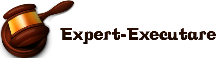 Expert-Executare
